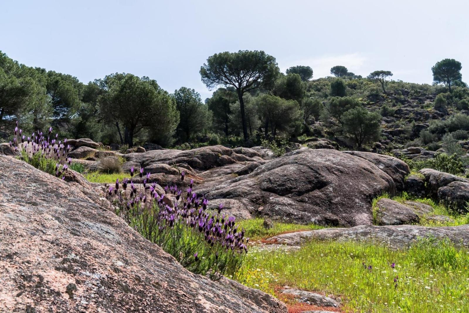 Casa El Paraiso Del Lago Alojamiento Rural Κόρδοβα Εξωτερικό φωτογραφία